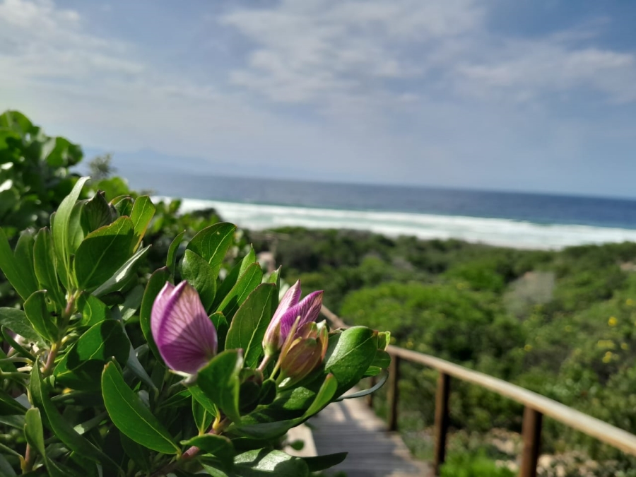 3 Bedroom Property for Sale in Keurboomstrand Western Cape